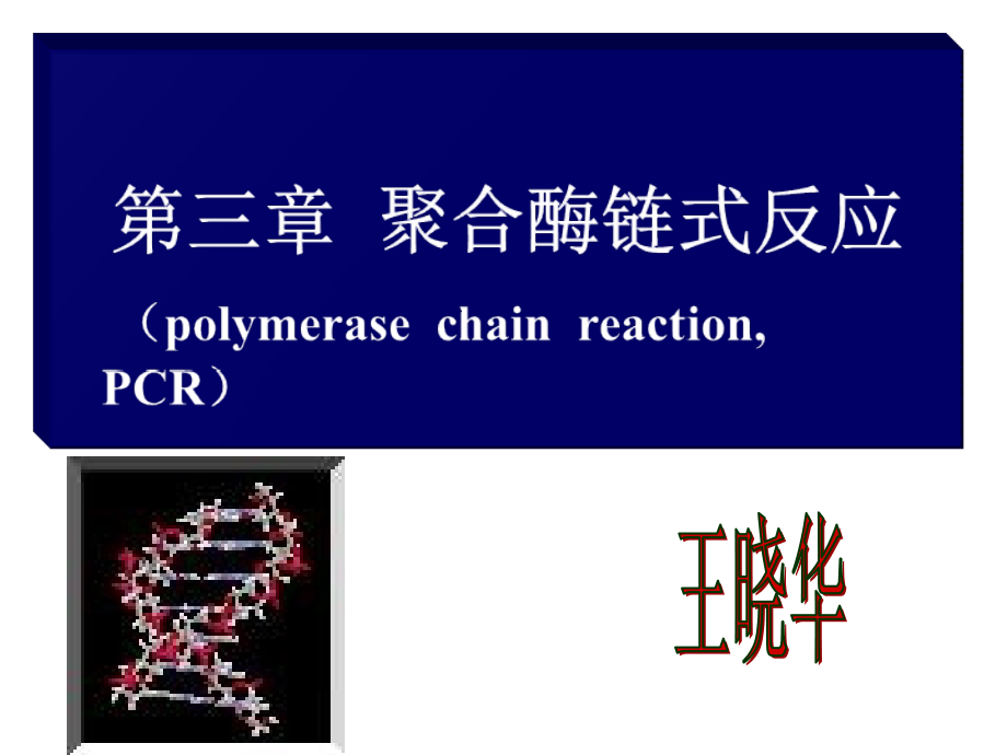 聚合酶链式反应-2011分子生物学_第1页