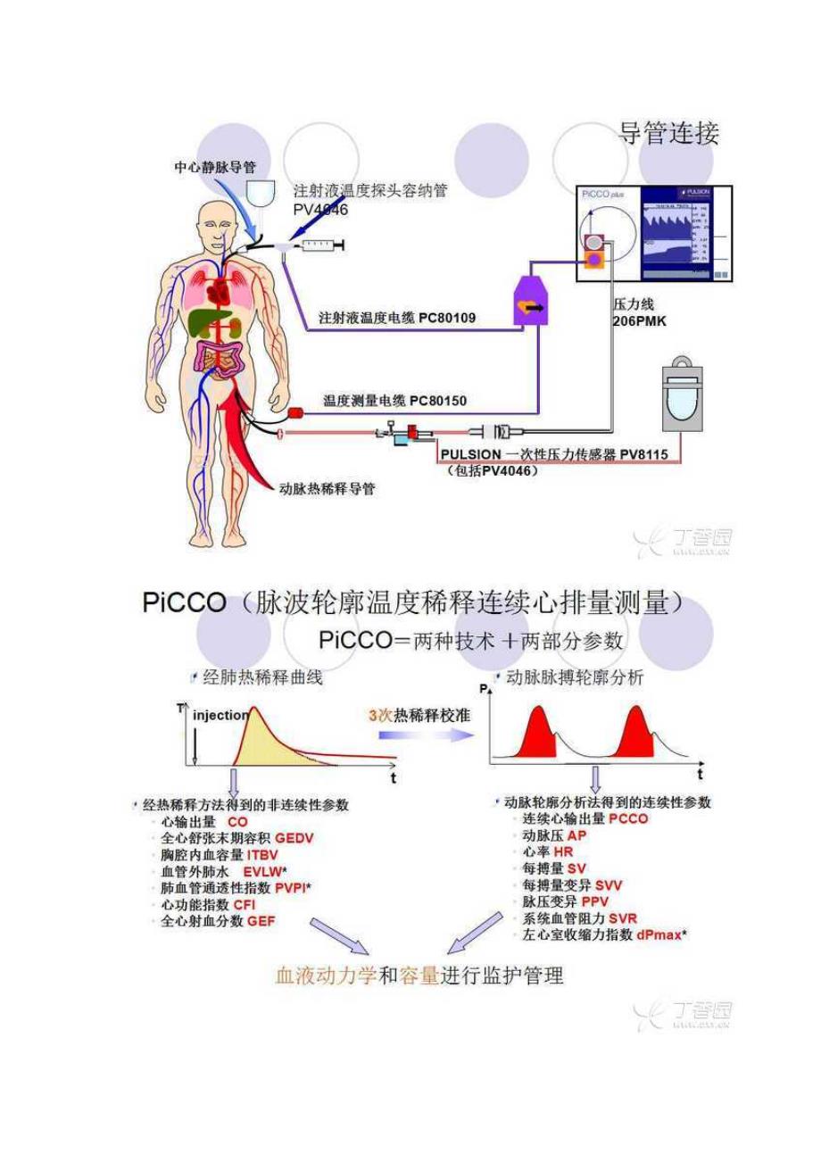 PICCO参数解读与血流动力学_第3页
