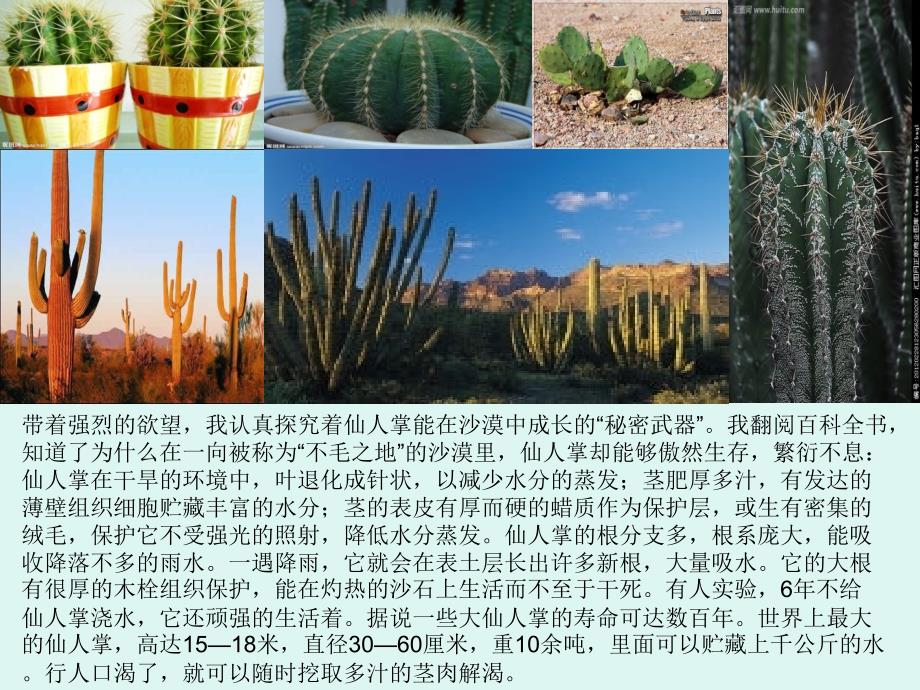 植物的种植方法PPt_第3页