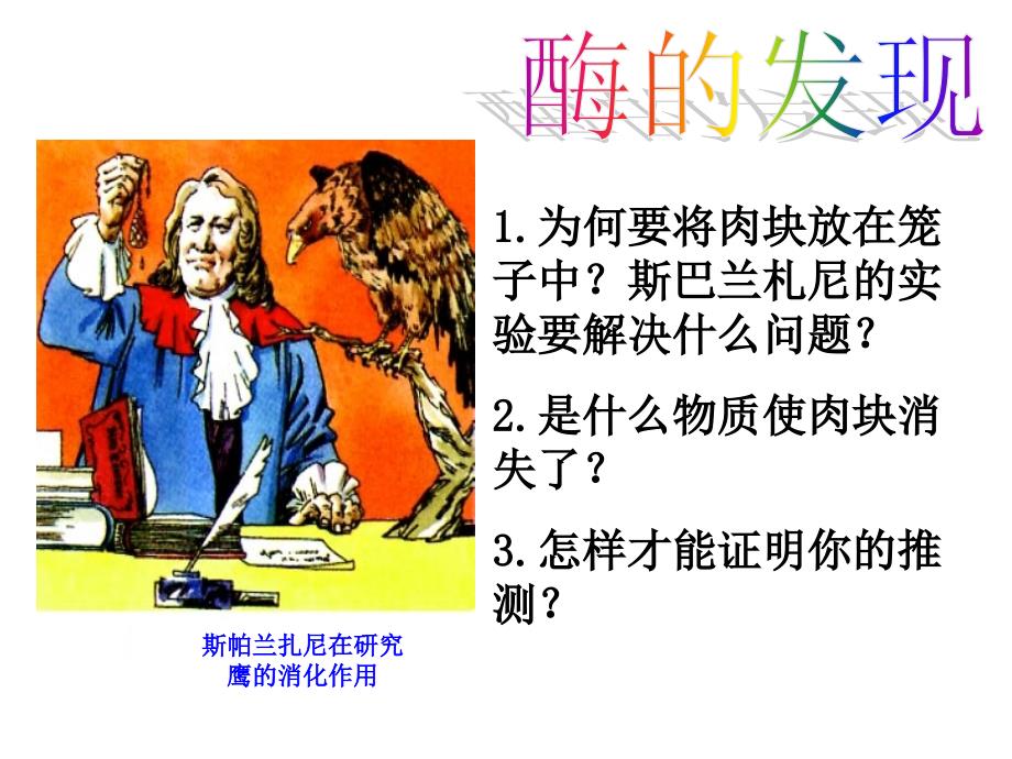 降低化学反应的活化能_第3页