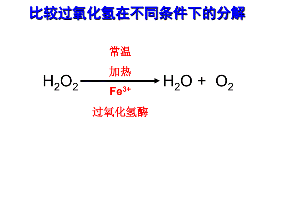 降低化学反应的活化能_第4页