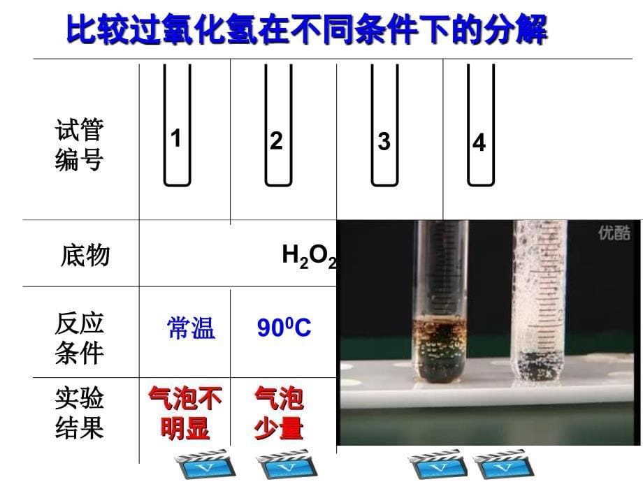 降低化学反应的活化能_第5页