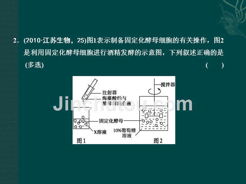 第二讲酶的应用和生物技术在其他方面的应用_第4页