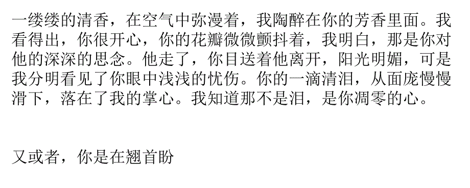 是出淤泥而不染的一株睡莲_第3页