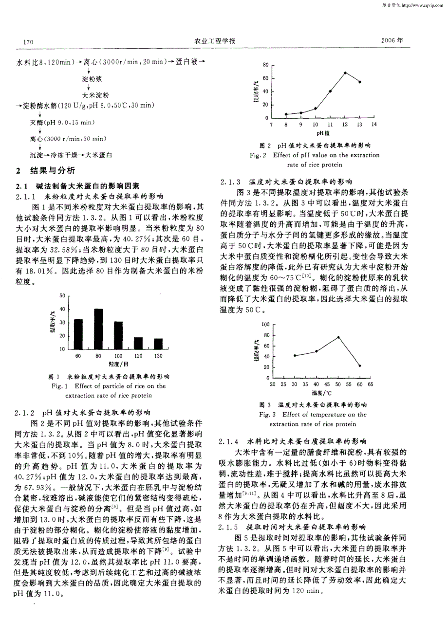 碱酶两步法制备大米蛋白的研究_第2页