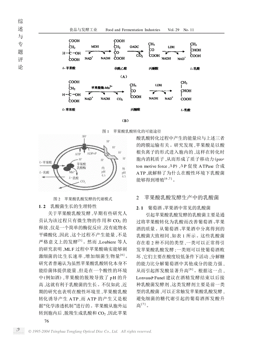 苹果酸乳酸发酵的研究进展_第2页