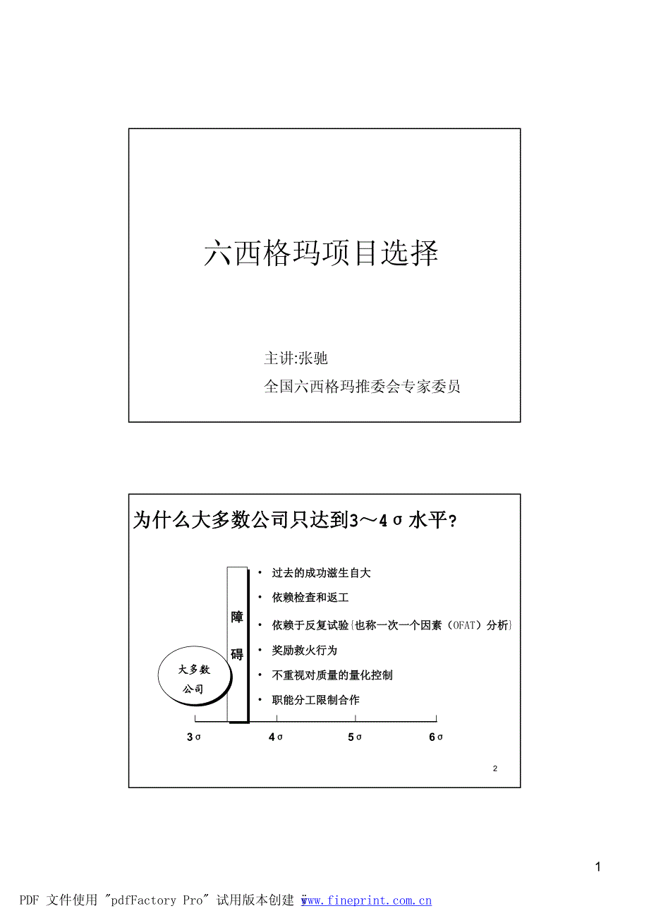 六西格玛项目选择_第1页