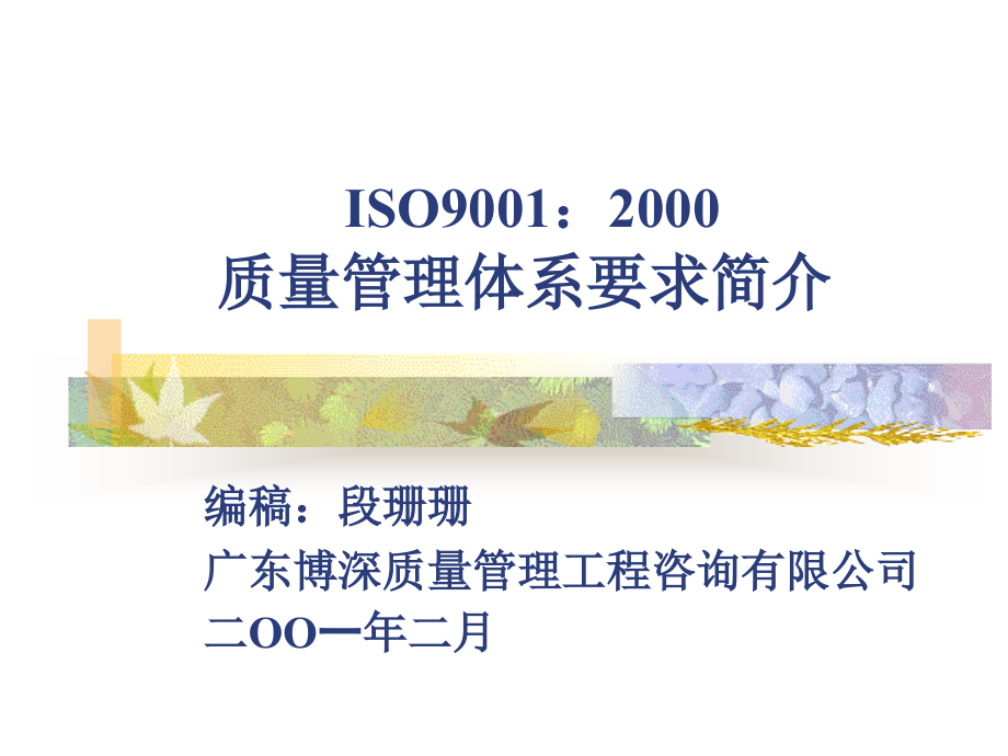 ISO9001：2000质量管理体系要求简介_第1页
