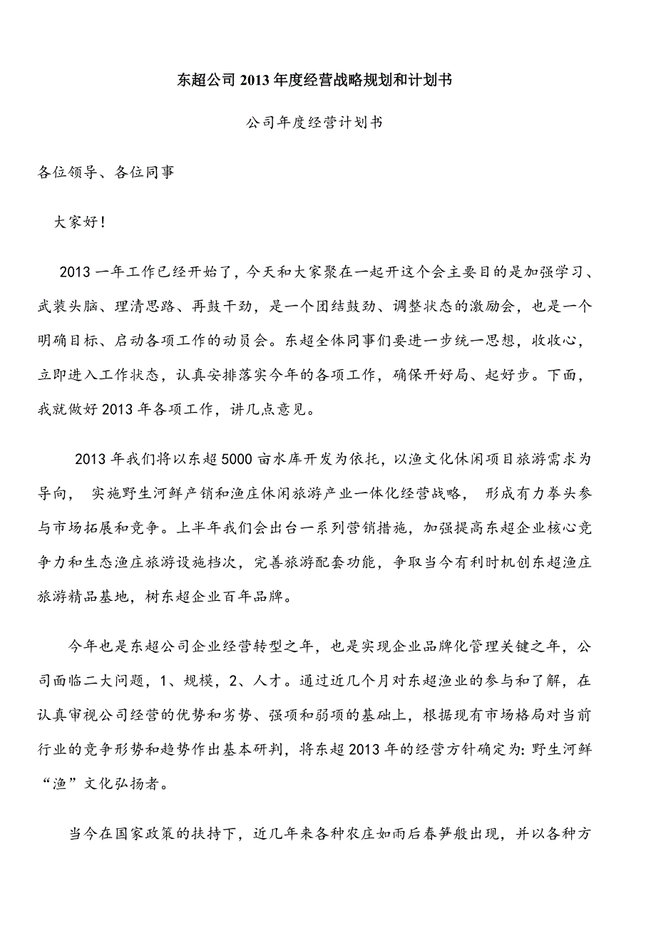 东超公司2013年度经营战略规划和计划书_第1页