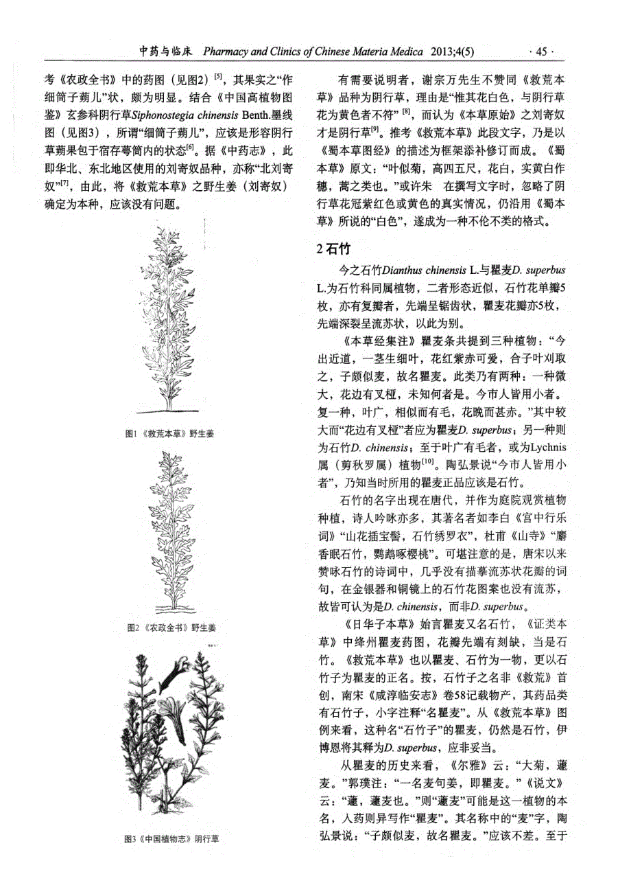 《救荒本草》中野生姜等植物品种图考_第2页