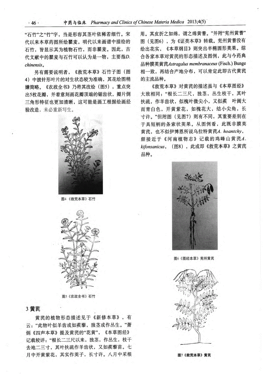 《救荒本草》中野生姜等植物品种图考_第3页