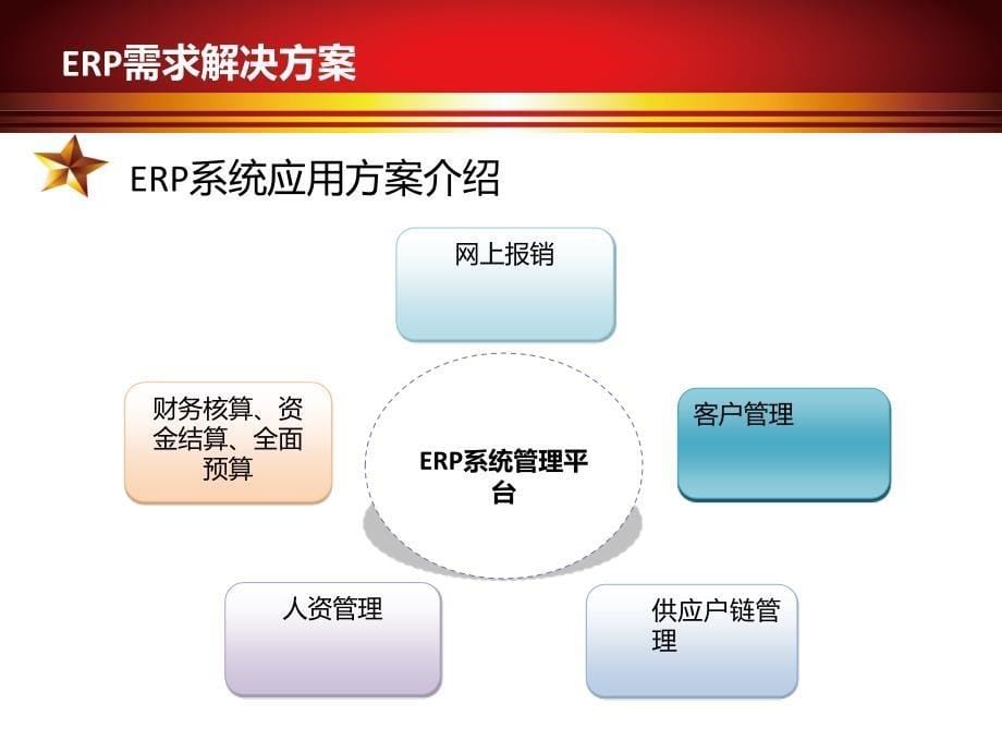 金通控股集团ERP需求解决方案_第5页