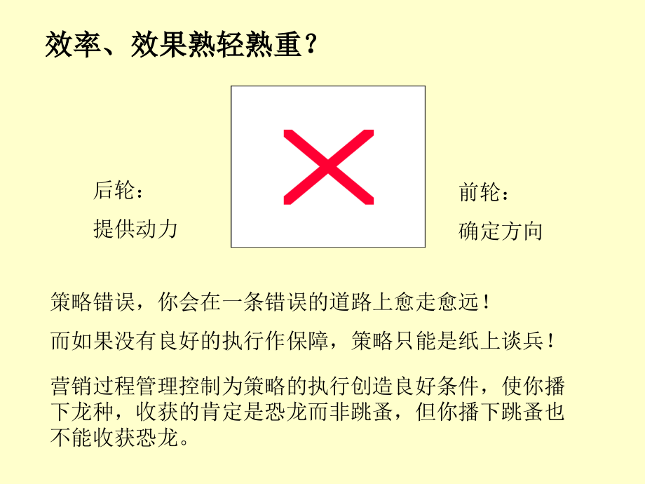 精细化营销策略PPT_第3页