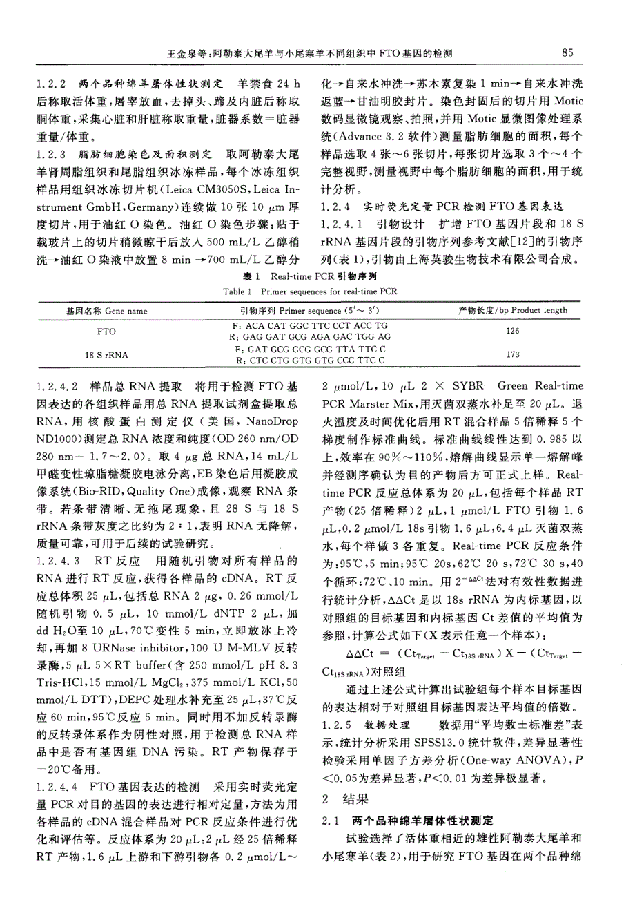 阿勒泰大尾羊与小尾寒羊不同组织FTO基因的检测_第2页