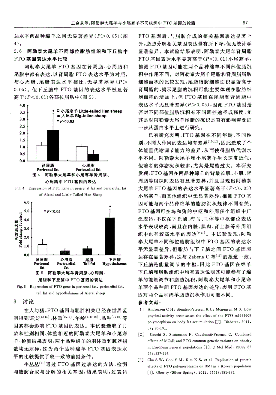 阿勒泰大尾羊与小尾寒羊不同组织FTO基因的检测_第4页