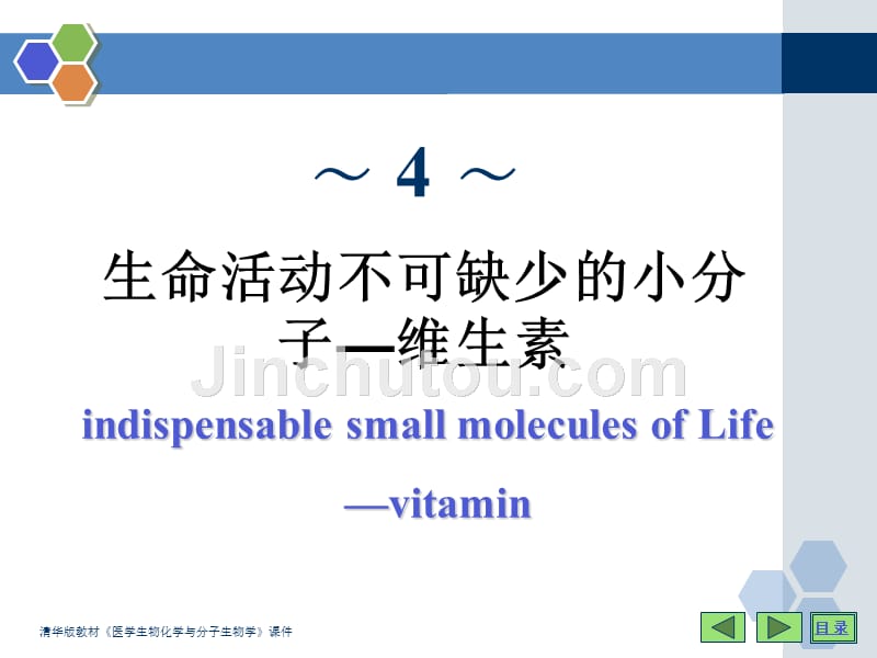 4 生命活动不可缺少的小分子——维生素_第1页