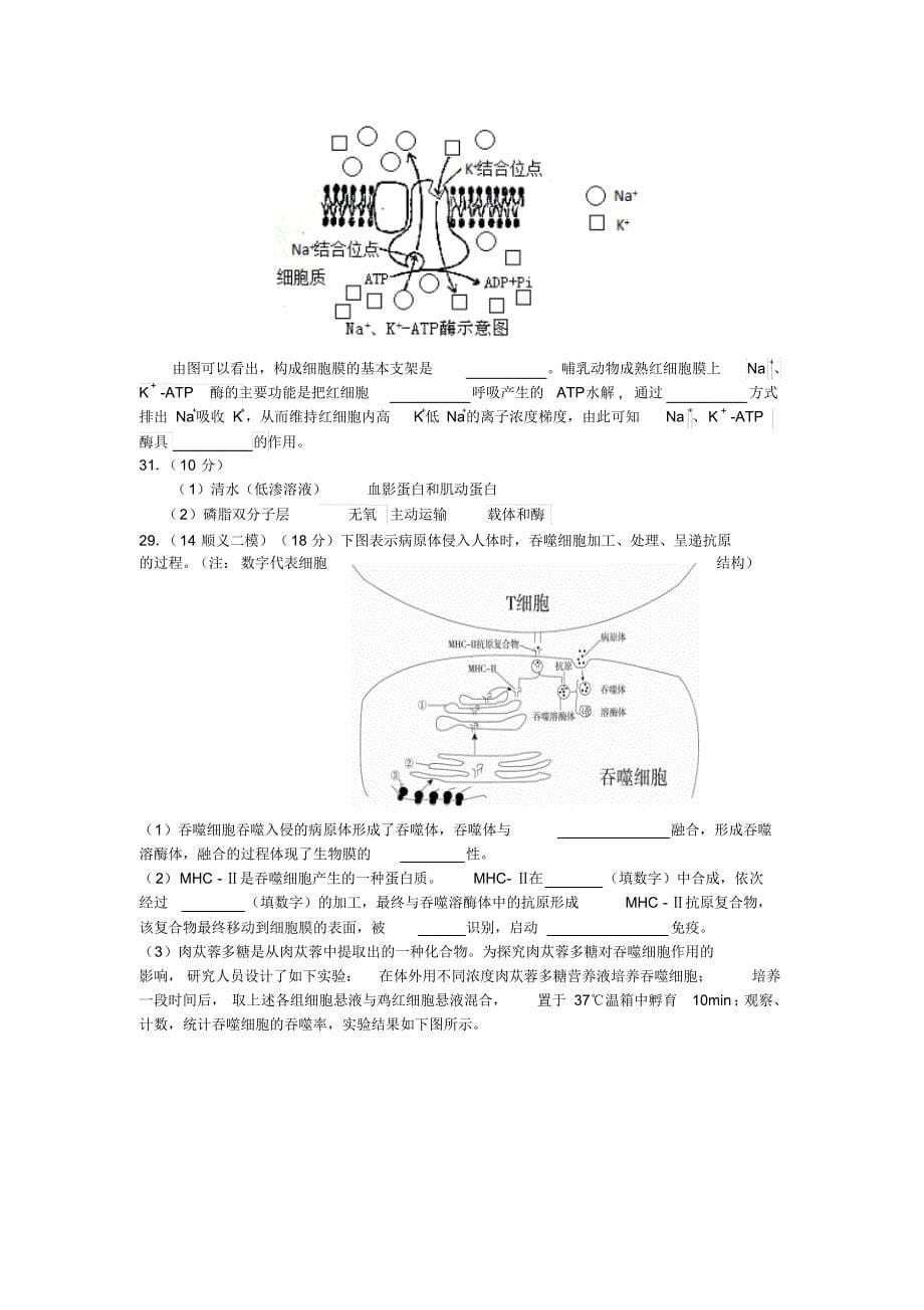 12-14年北京模拟生物部分分类汇编(细胞类型及其结构和功能)_第5页