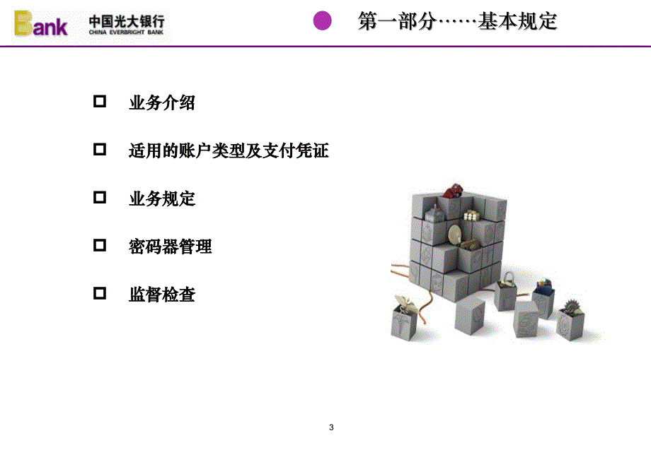 中国光大银行支付密码业务操作规程_第3页