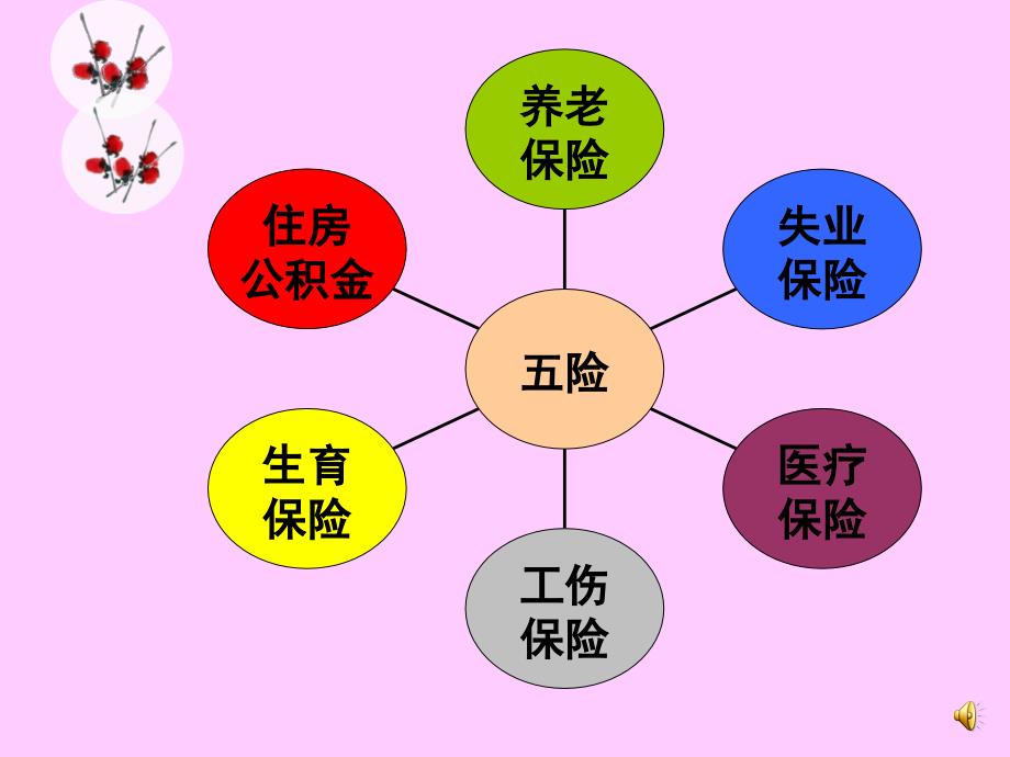 五险一金培训课件(企业新员工入职)_第3页