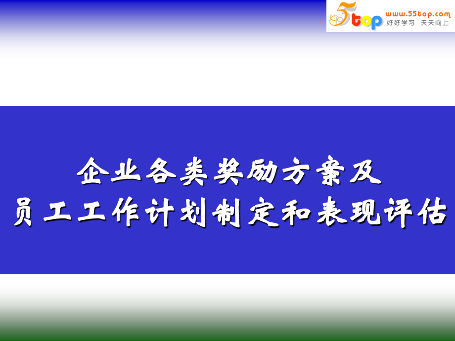 【经管类】企业各类奖励方案及员工工作计划制定和表现评估_第1页