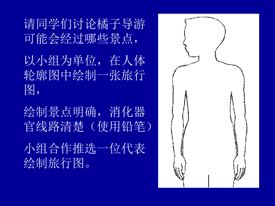 张美荣四年级上册科学_第3页