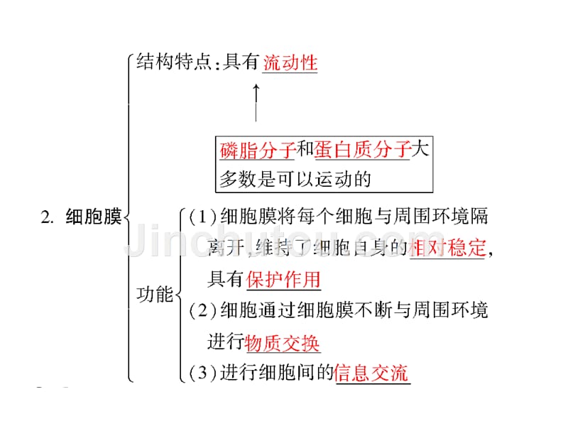 2012高三生物一轮复习课件《课堂新坐标》苏教版：必修一第三章第二节细胞的类型和结构_第2页