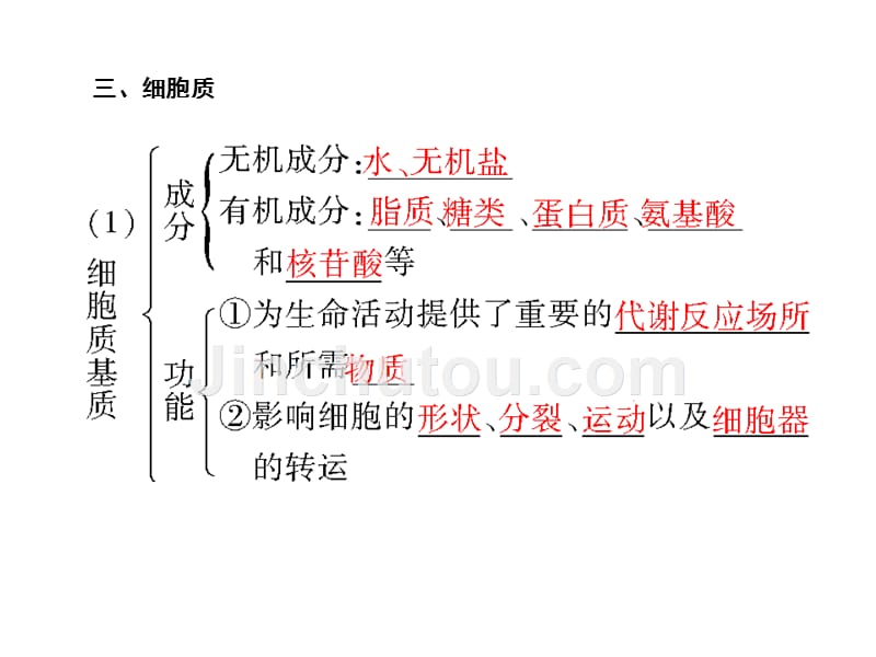 2012高三生物一轮复习课件《课堂新坐标》苏教版：必修一第三章第二节细胞的类型和结构_第5页