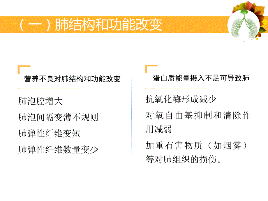 呼吸系统疾病与营养_第4页