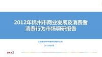 锦州市太阳广场项目市场调研报告最终版（已完成 ）1205...