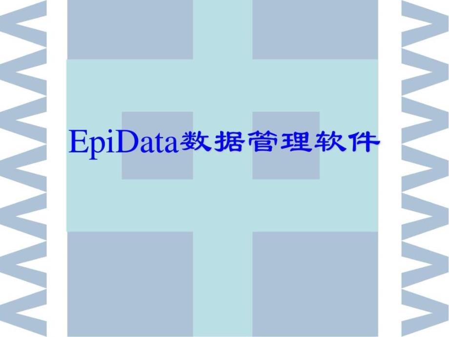 教你如何使用epidata_第1页