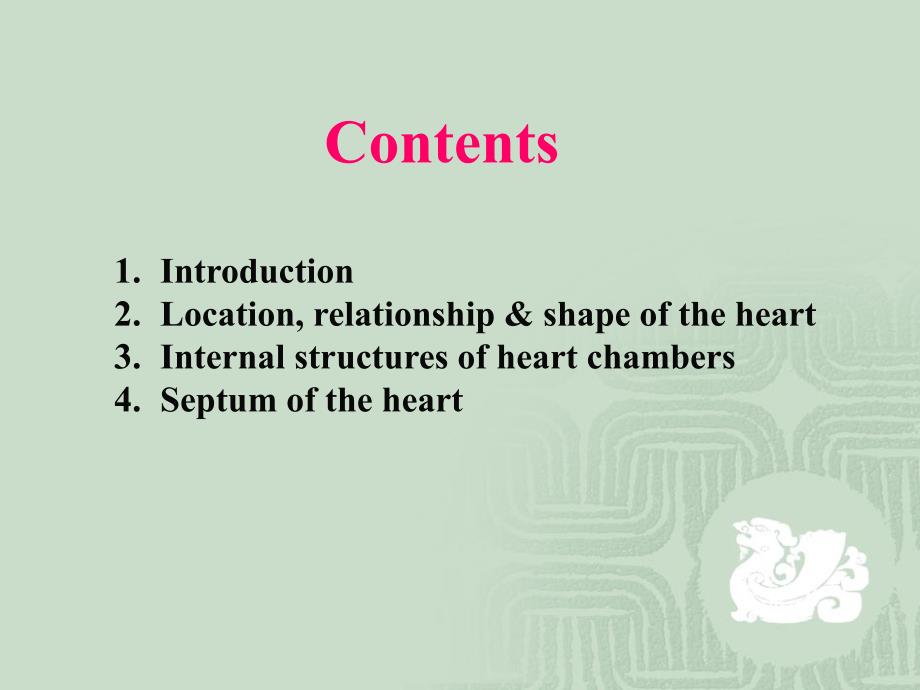 心的外形和腔内结构详解_第1页