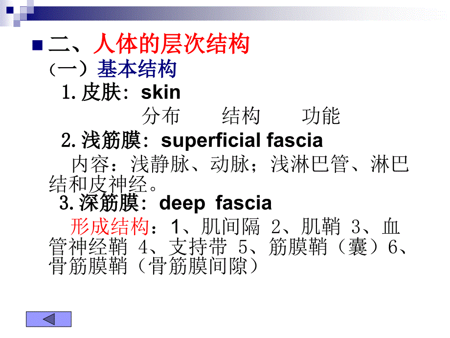 医用局部解剖学-头、面部_第3页