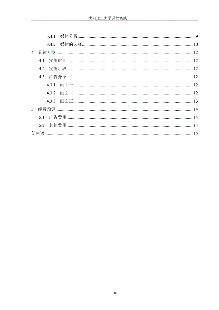 可口可乐的广告策划书_第3页