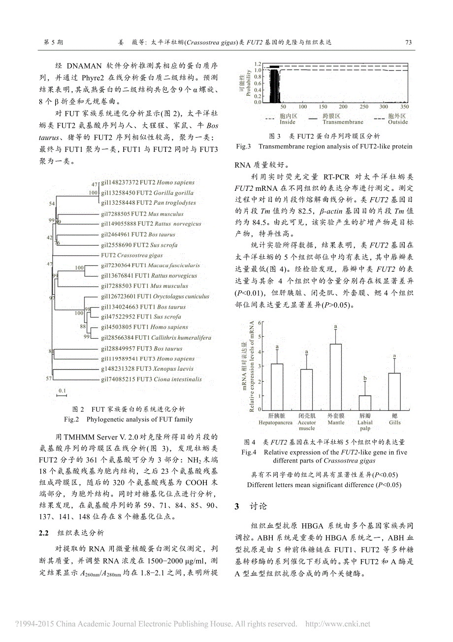 太平洋牡蛎类FUT2基因的克隆与组织表达_第4页