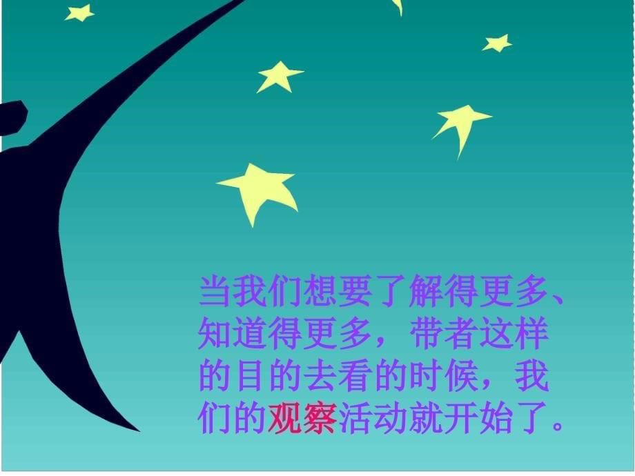 1《我看到了什么》PPT课件2-课件（PPT-精）_第5页