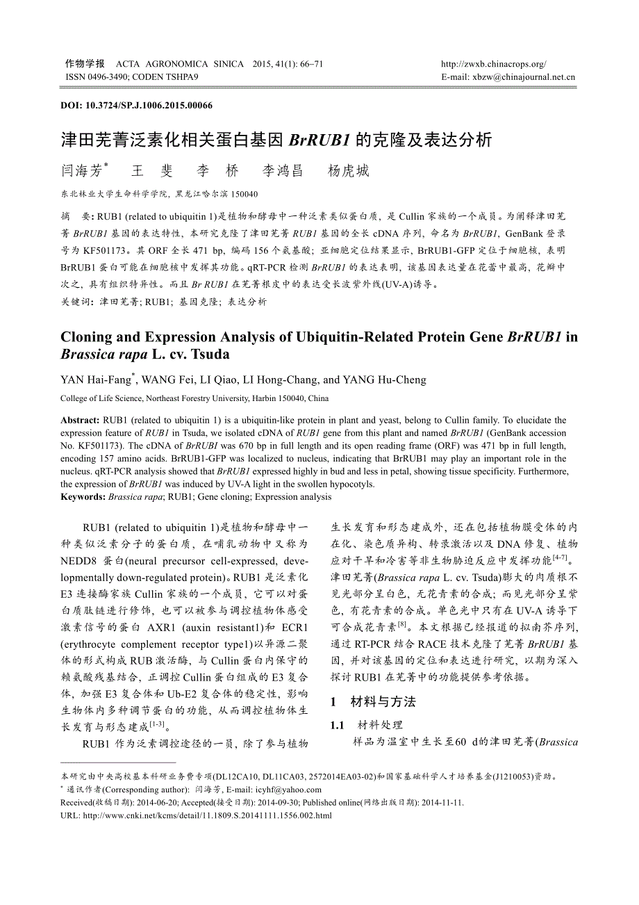 津田芜菁泛素化相关蛋白基因BrRUB1的克隆及表达分析_第1页