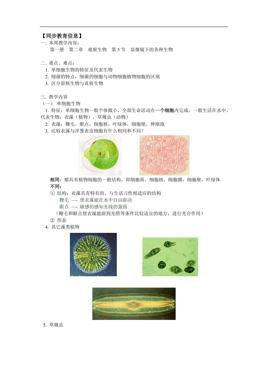 2 观察生物  第5节  显微镜下的各种生物_第1页