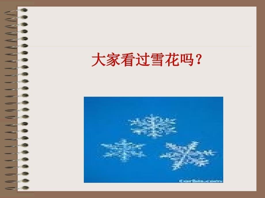 12看雪-课件（PPT-精）_第5页