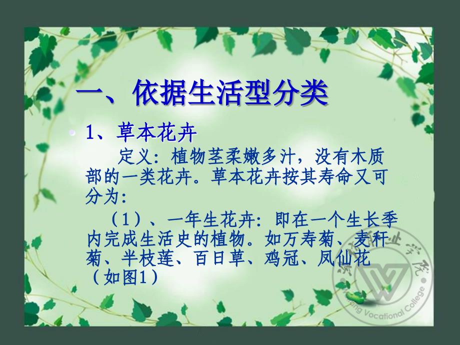 潍坊职院花卉栽培-1、2花卉的分类、花卉栽培与环境_第2页