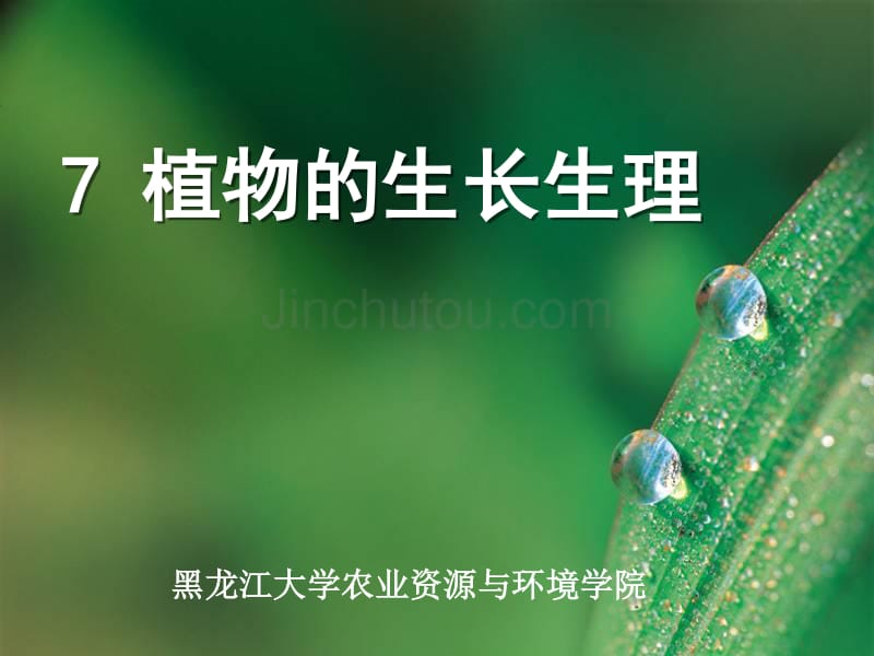 黑龙江农业大学资源与环境学院植物生理学07 植物生长生理_第1页