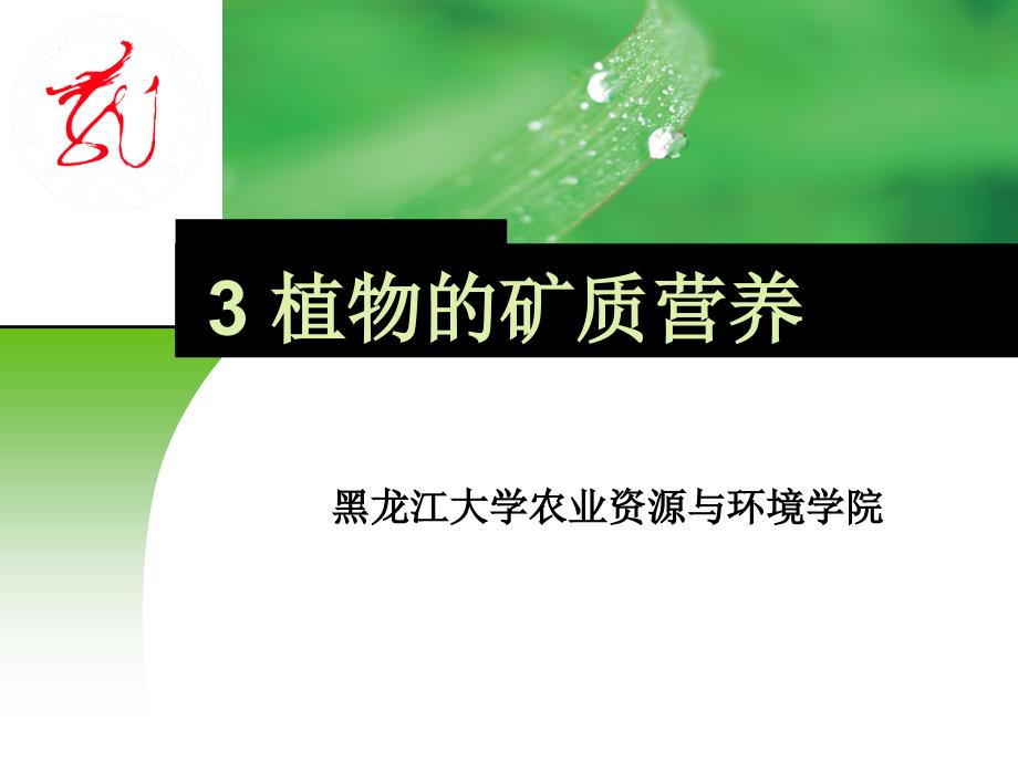 黑龙江农业大学资源与环境学院植物生理学03 植物的矿质营养_第1页