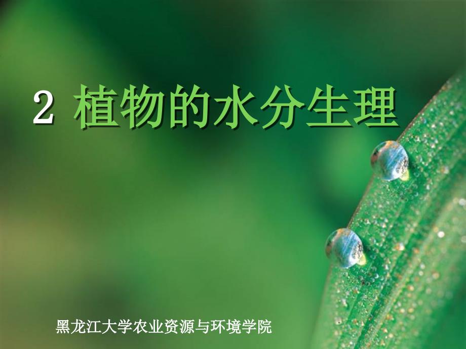 黑龙江农业大学资源与环境学院植物生理学02 植物的水分生理_第1页