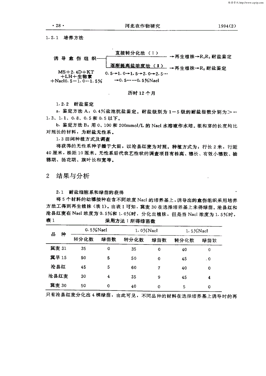 冬小麦耐盐无性系及后代性状变异_第2页