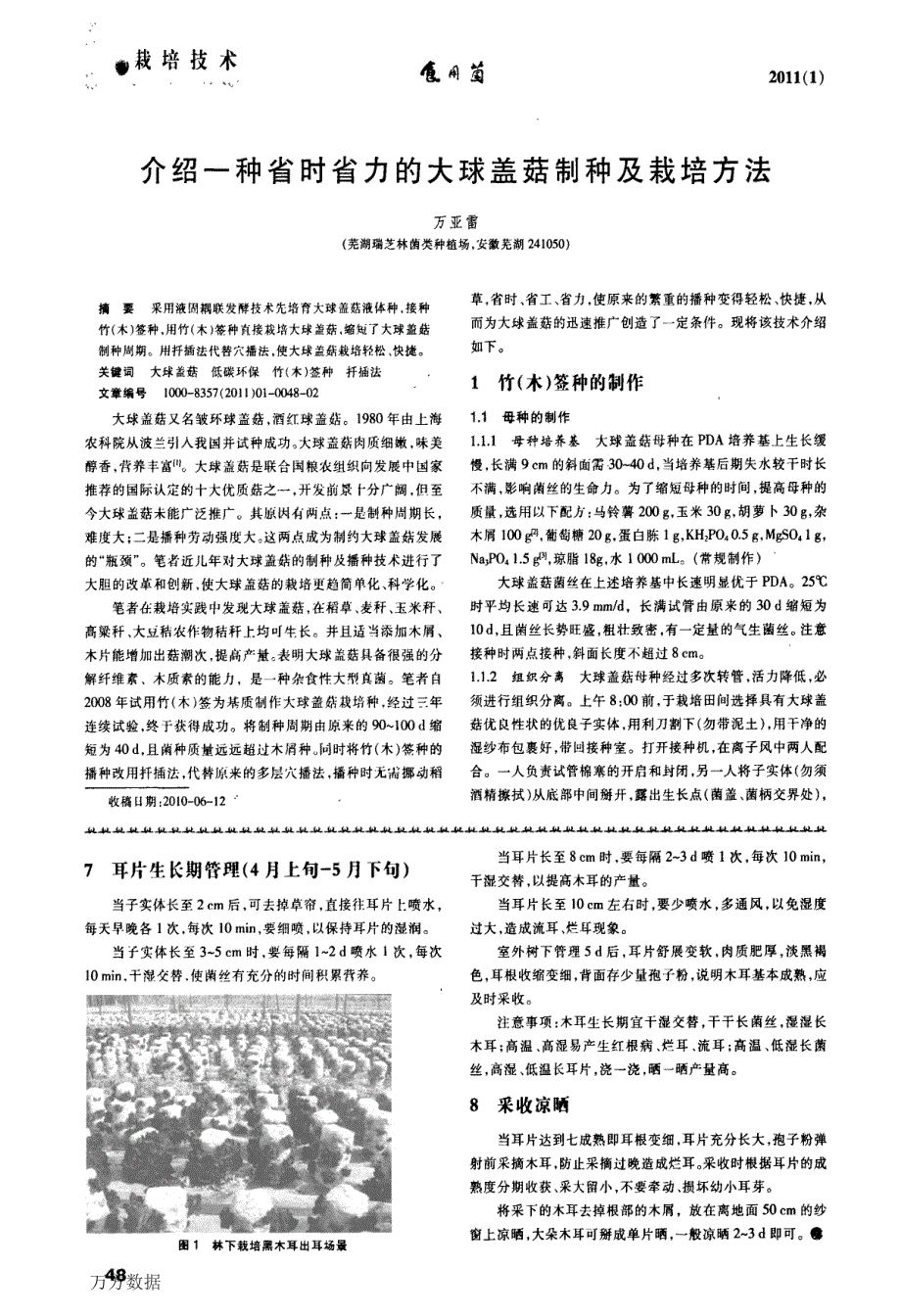 介绍一种省时省力的大球盖菇制种及栽培方法_第1页