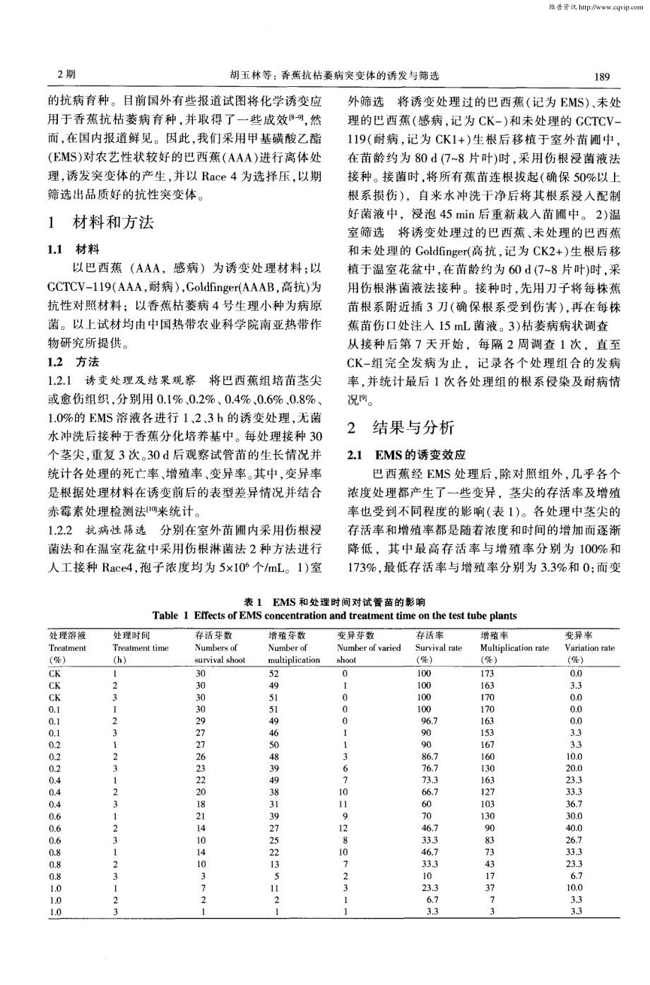 香蕉抗枯萎病突变体的诱发与筛选_第2页