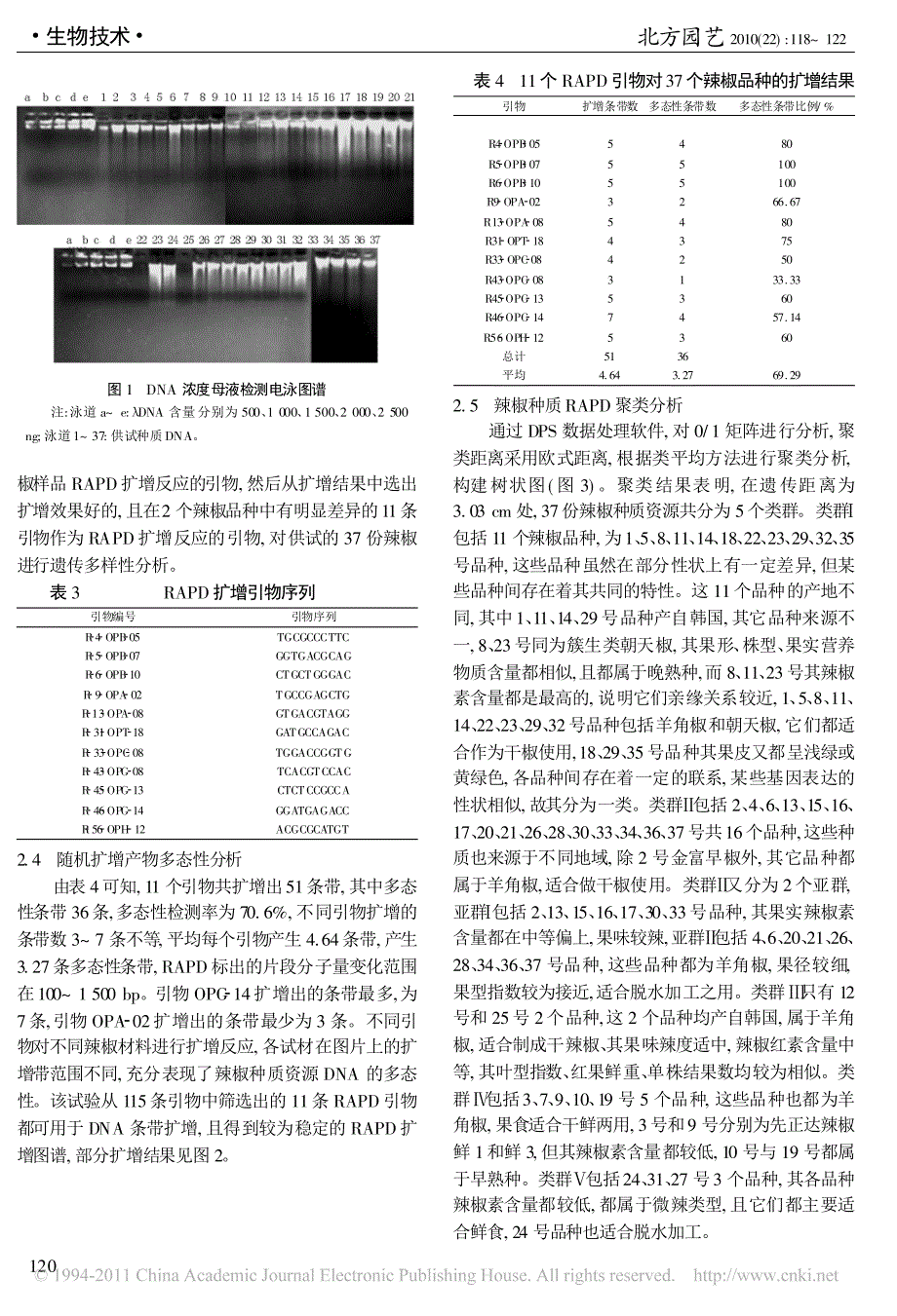 辣椒种质遗传多样性的RAPD分析_第3页