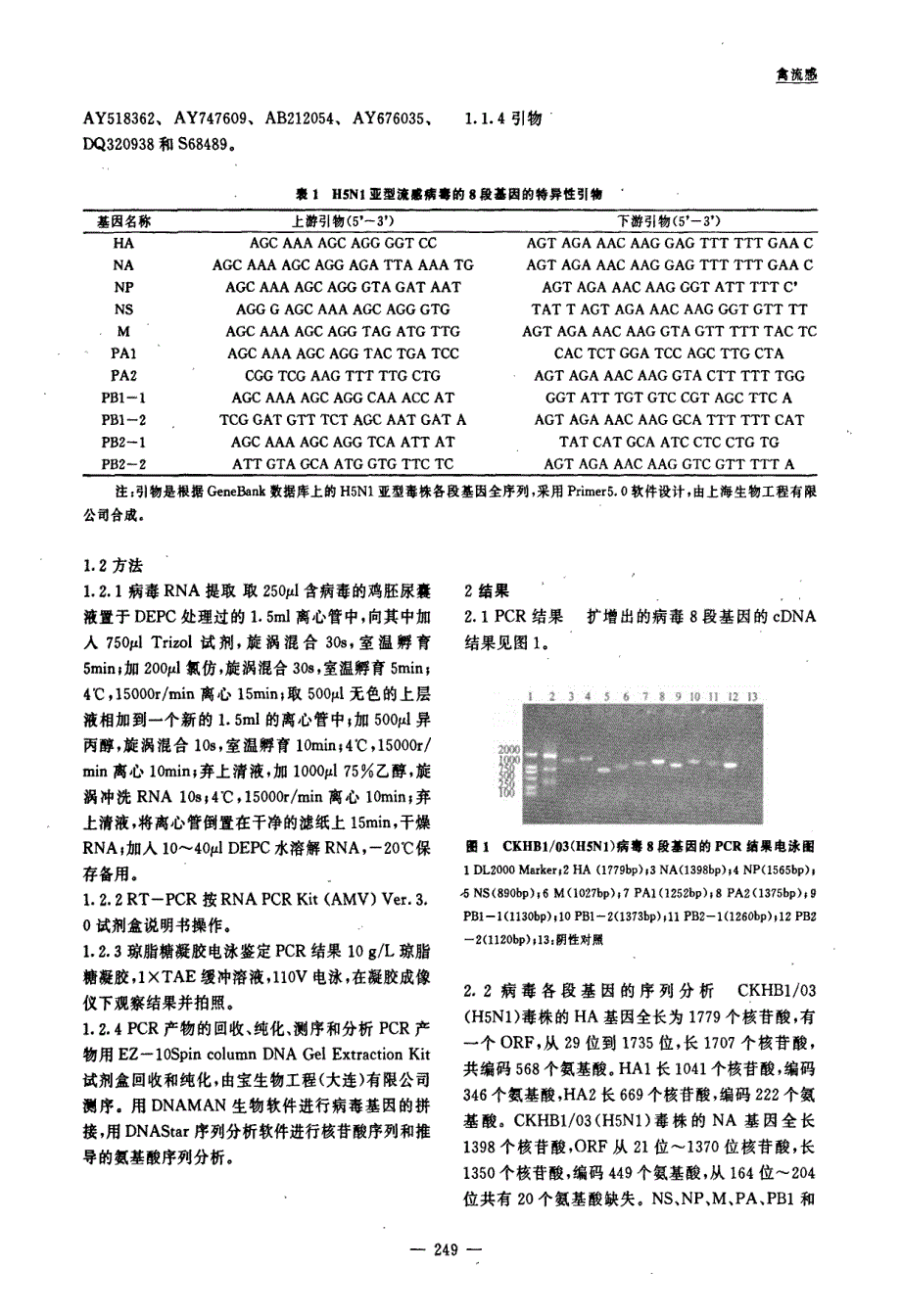 鸡源禽流感病毒AChickenHuaBei12003(H5N1)的基因扩增和序列分析_第2页