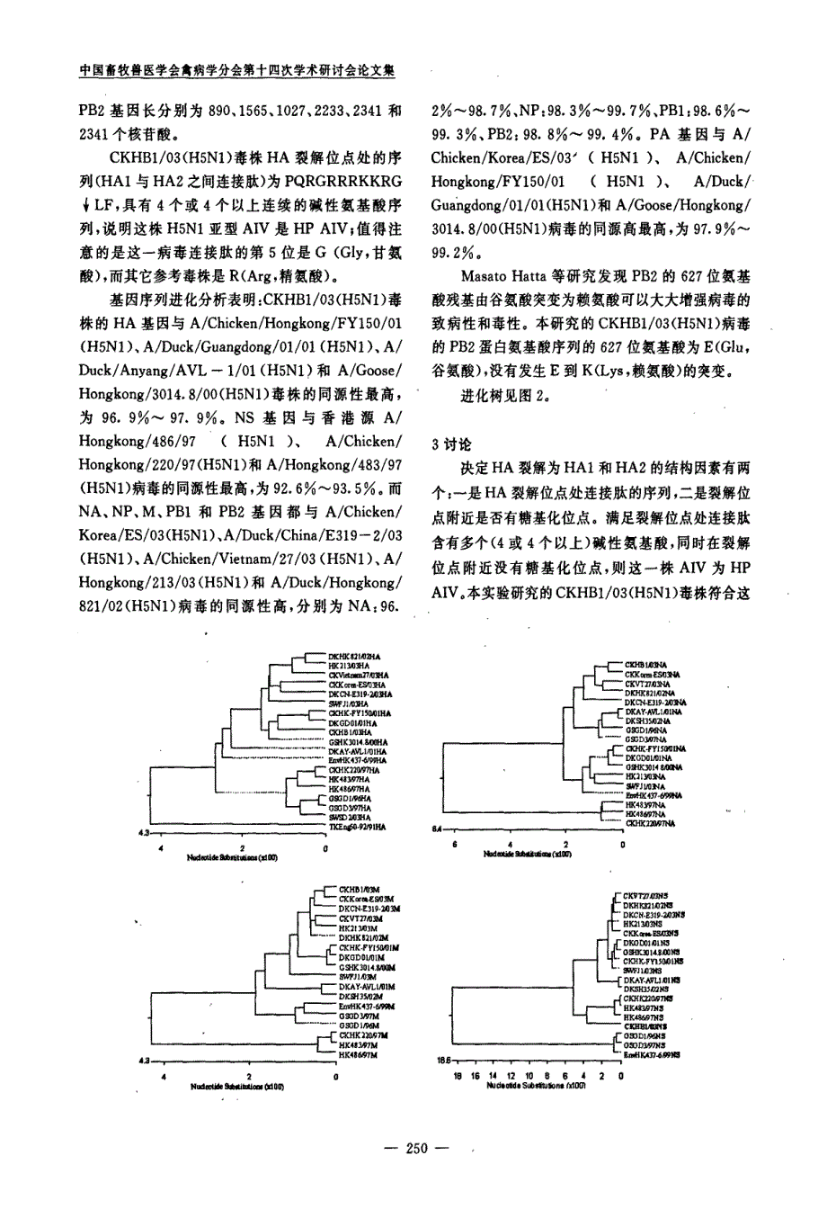 鸡源禽流感病毒AChickenHuaBei12003(H5N1)的基因扩增和序列分析_第3页