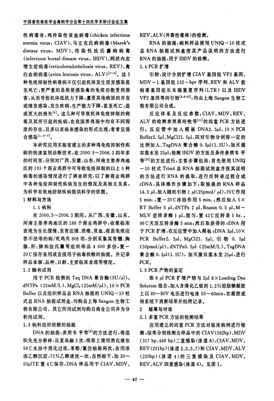 四省区商业鸡群多种免疫抑制性病毒共感染的研究_第2页