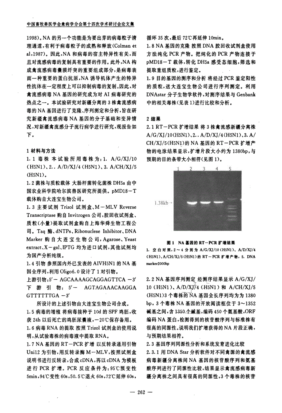 H5N1亚型禽流感病毒新疆株NA基因的克隆及序列分析_第2页